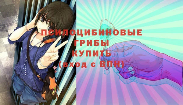 МДМА Богородицк