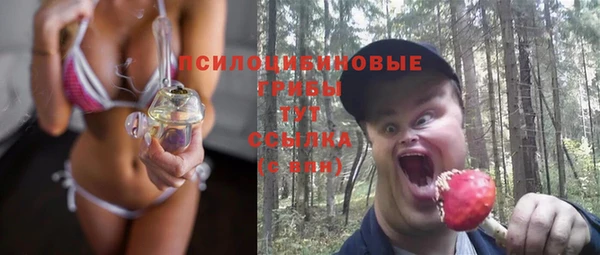 экстази Данков